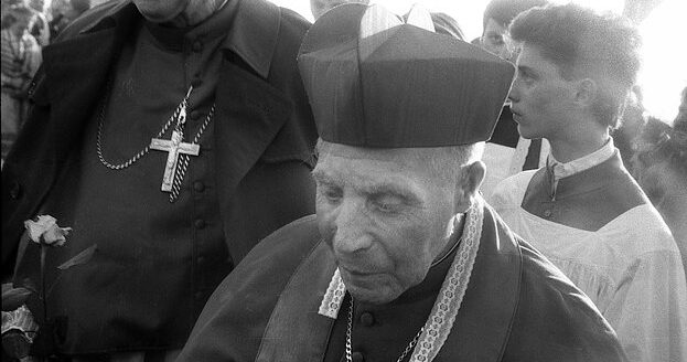 Read more about the article Minimos kardinolo Sladkevičiaus 100-osios gimimo metinės: tylaus ir beginklio pasipriešinimo simbolis, kurio patarimai svarbūs ir šiandien
