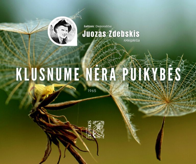 Read more about the article Klusnume nėra puikybės