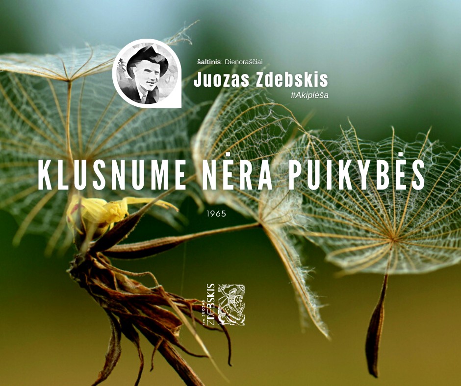 You are currently viewing Klusnume nėra puikybės