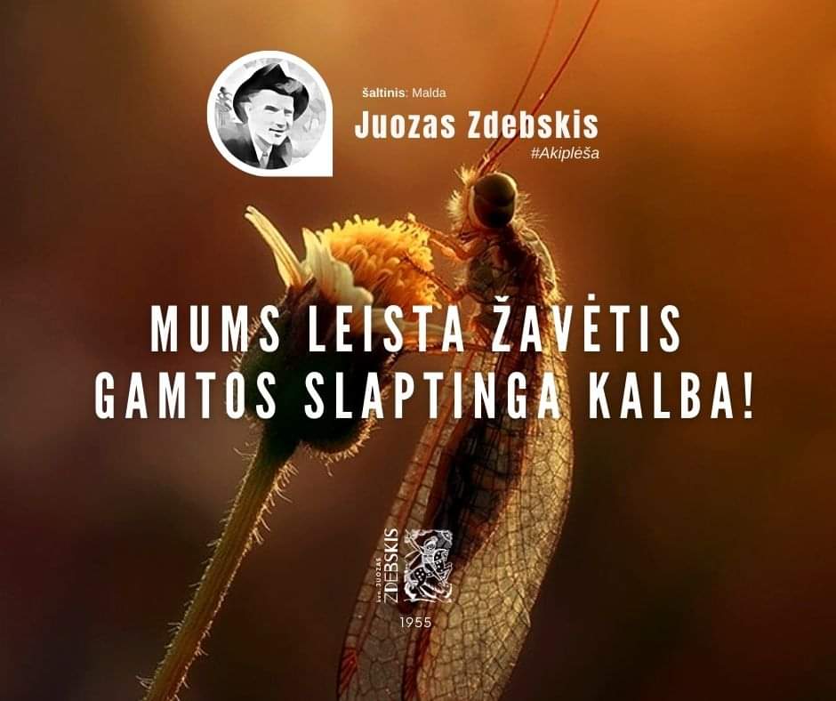 You are currently viewing Mums leista žavėtis gamtos slaptinga kalba!