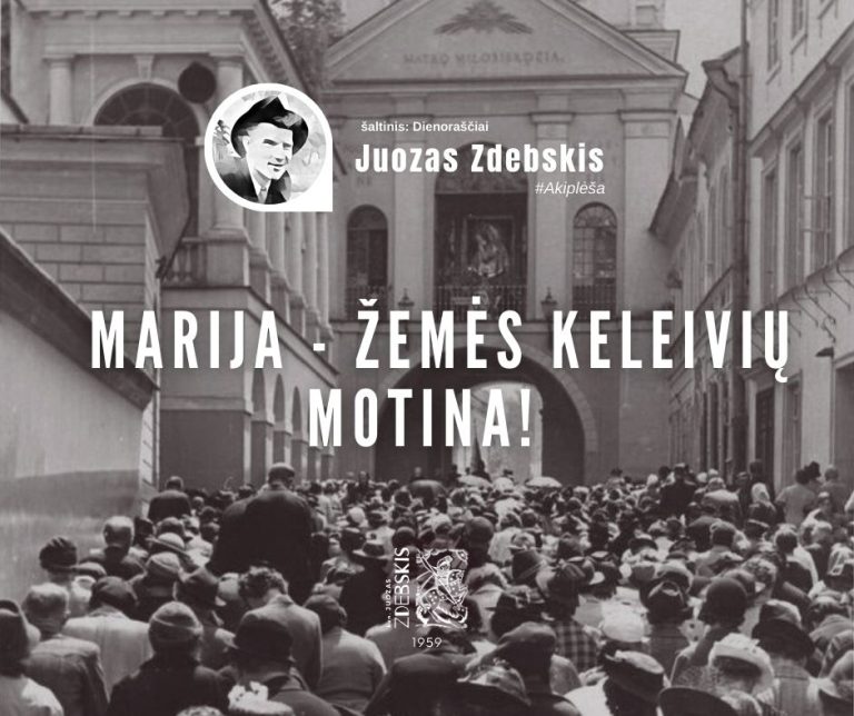 Read more about the article Marija – žemės keleivių motina